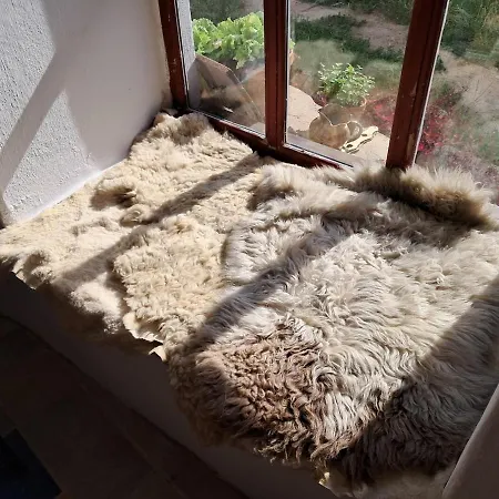 Apartamento U Kameníků